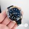 Часы Omega Seamaster Planet Ocean (13735)